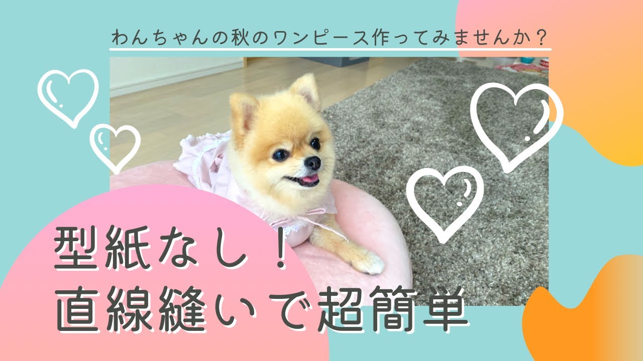 型紙なし直線縫いで超簡単！わんちゃんの秋のワンピース作ってみませんか