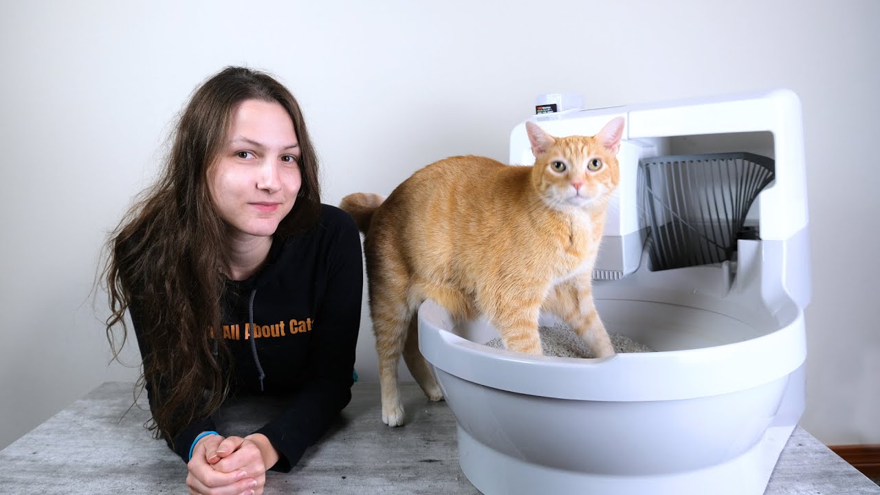 Cat Genie Self-Flushing Litter Box Review (We Tested it for 3 Weeks)