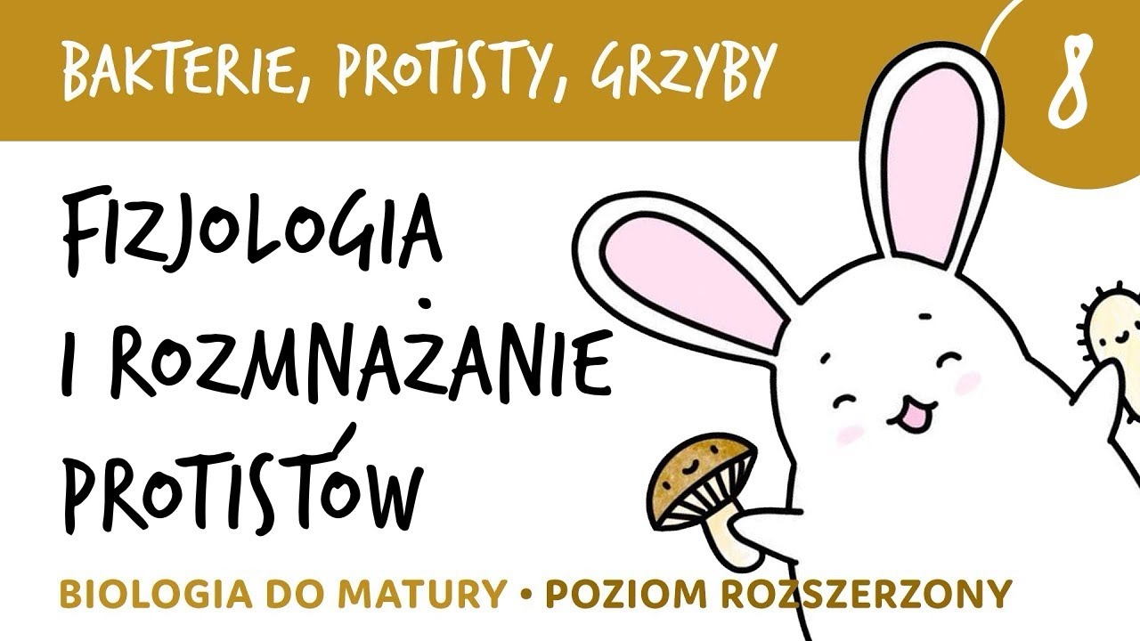 Bakterie protisty i grzyby 8 🦠BONUS do pobrania Fizjologia i rozmnażanie protistów - biologia matura