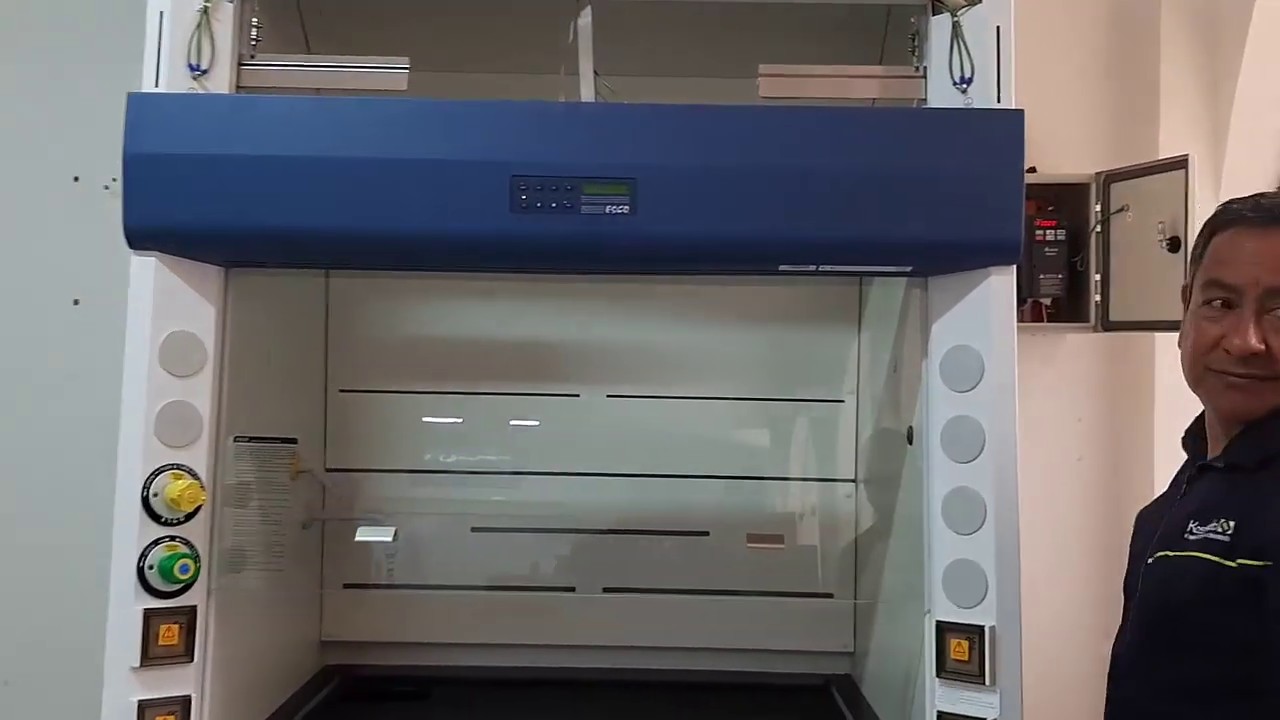 Campana extractor de gases