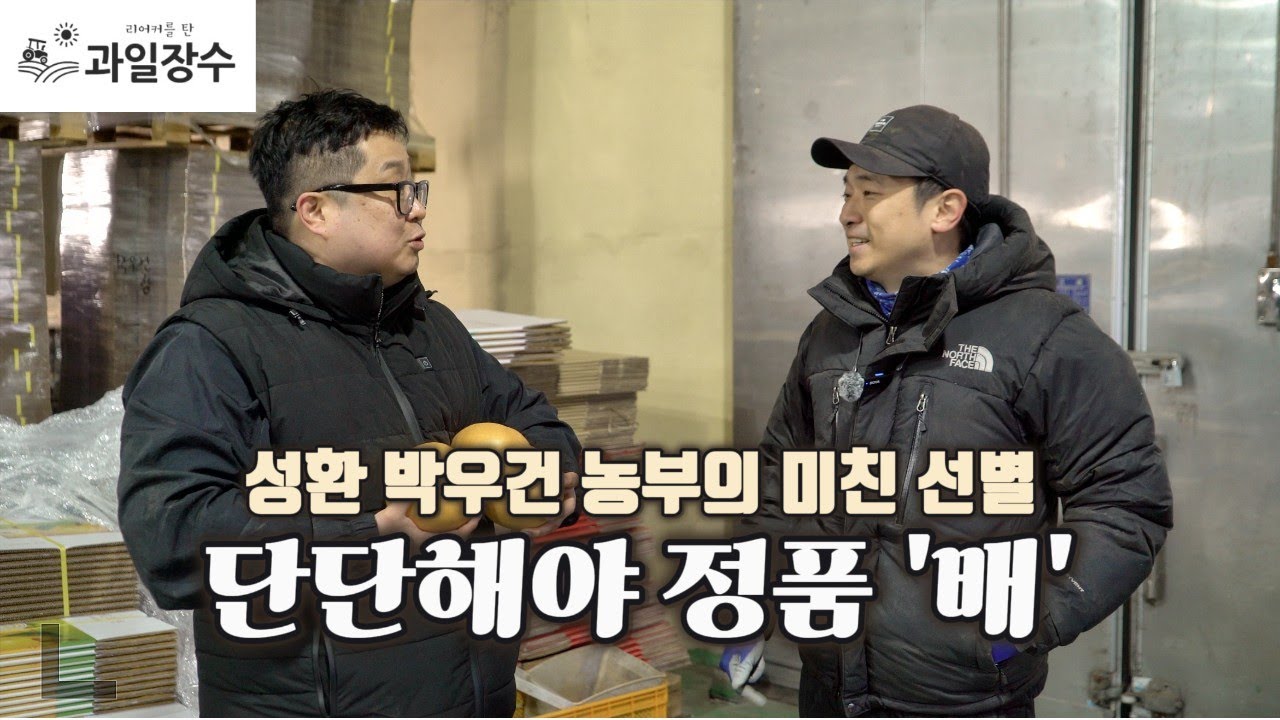 요새 이런배 없습니다! '성환' 박우건 농부님의 배!!