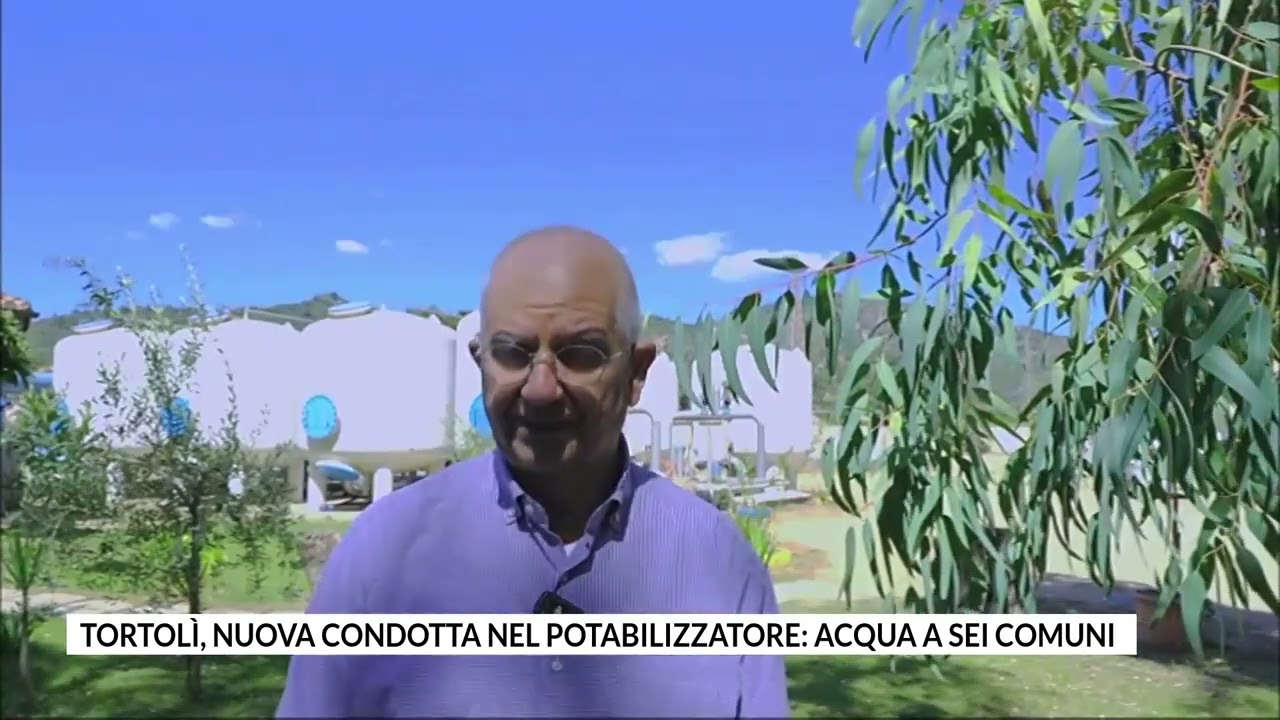 Servizio del Tg di Videolina Tortolì Girasole luglio 2025