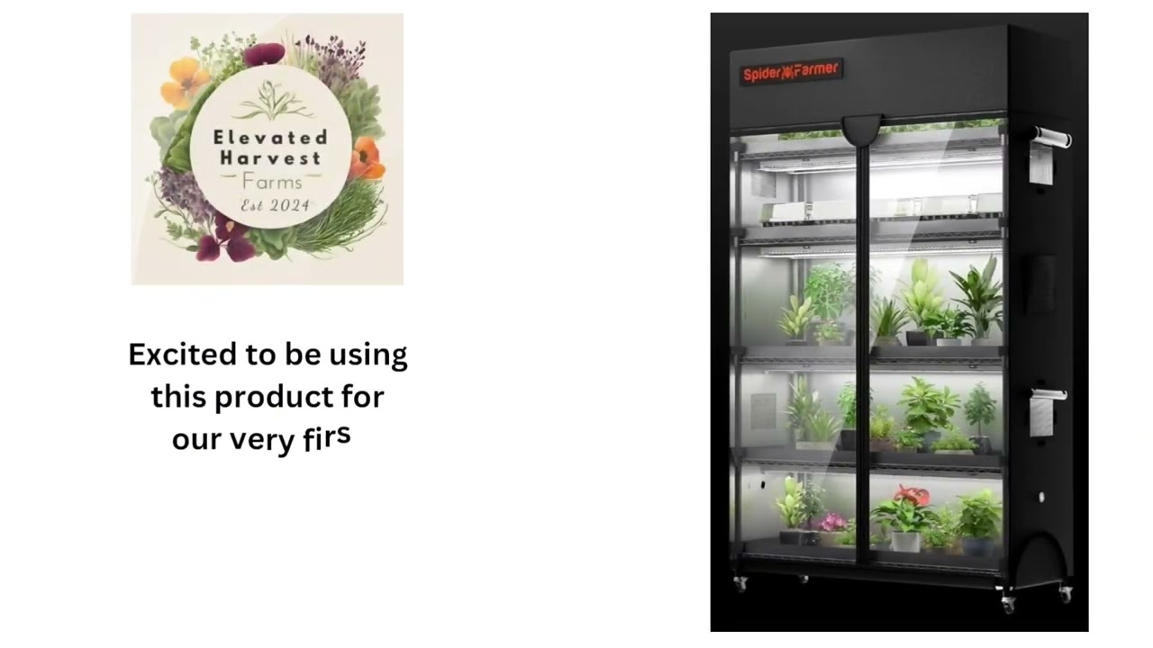 Our First Indoor Harvest with Spider Farmer 6-Tier Greenhouse! | Microgreens Setup Tour