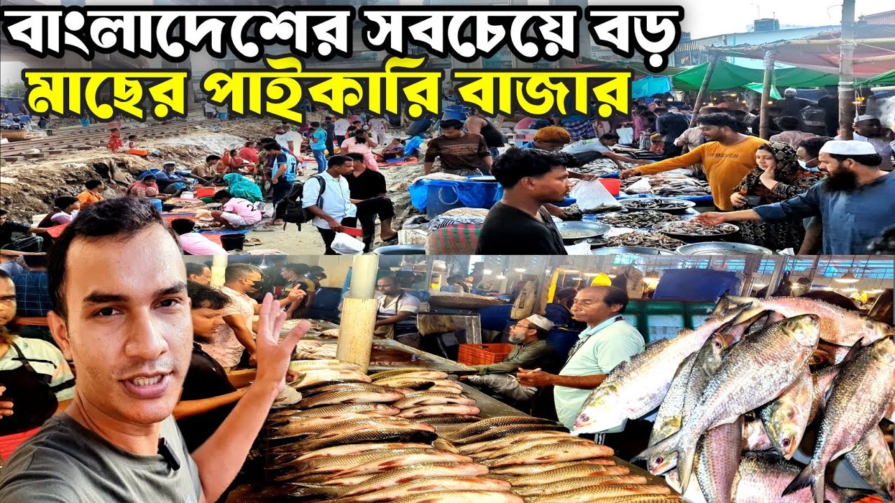 বাংলাদেশের সবচেয়ে বড় মাছ বাজার | Largest fish market in Bangladesh | কাওরান বাজার | Kawran Bazar