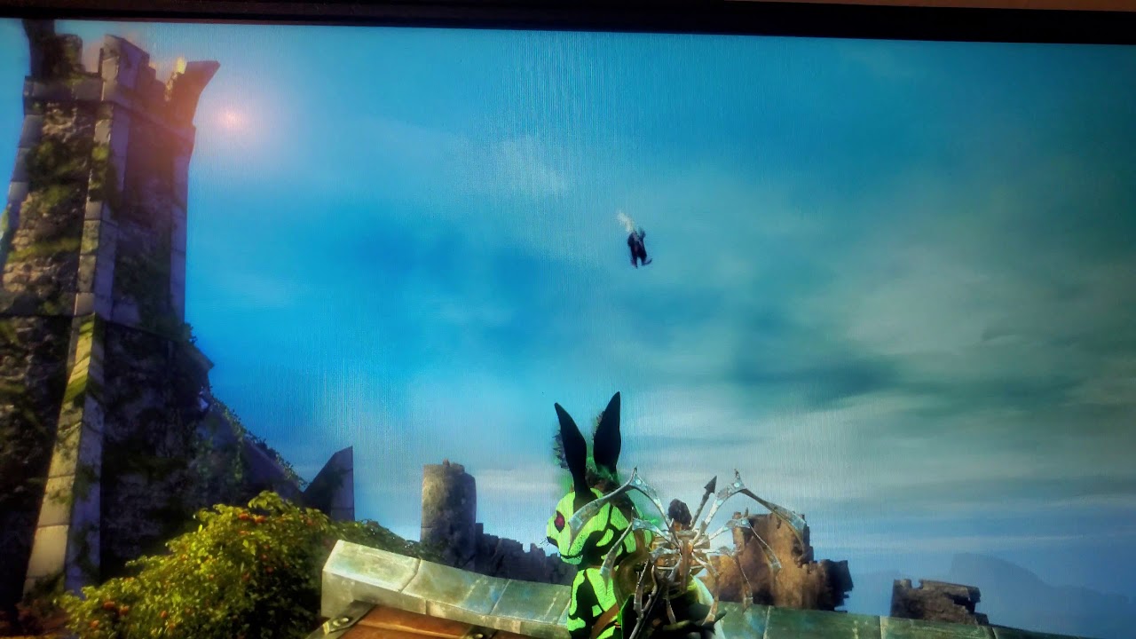 Guild Wars 2 - Springer (Glitch...)