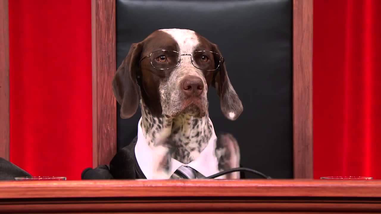 #RealAnimalsFakePaws