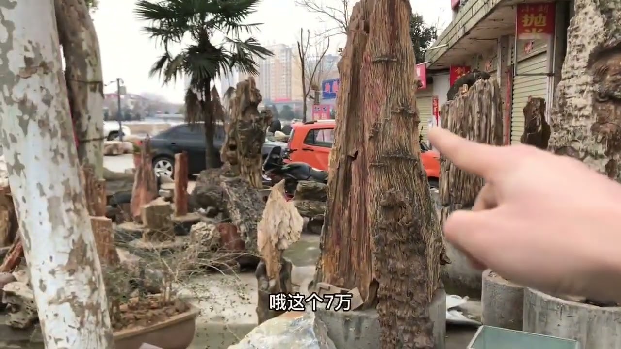 奇石木化石树化玉来了解一下