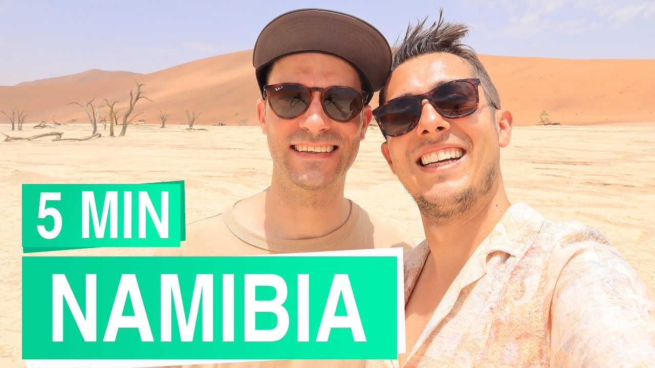 Namibia in 5 minutes 🐘🦒🦁 Safari in Etosha + Dunes in Sossusvlei