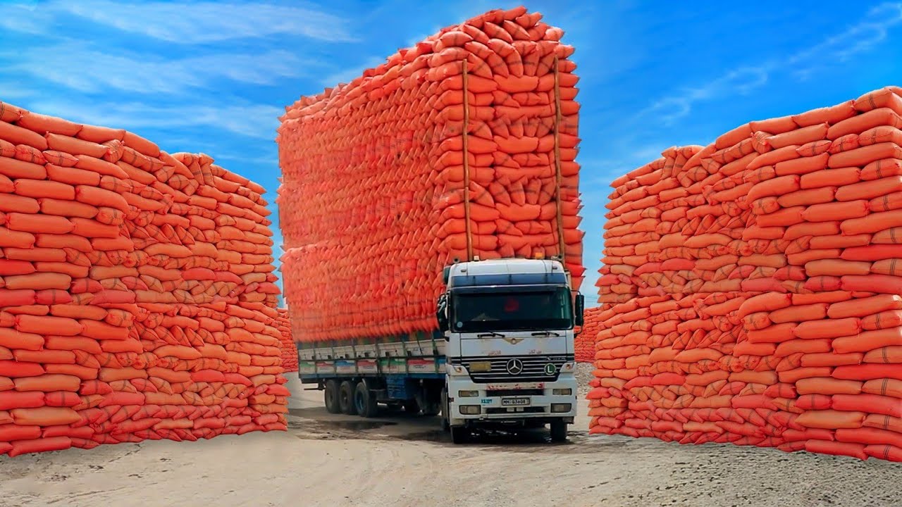 This is How Wheat Straws Loading is Done in Heavy Trucks | Afghan Daily Routine Jobs