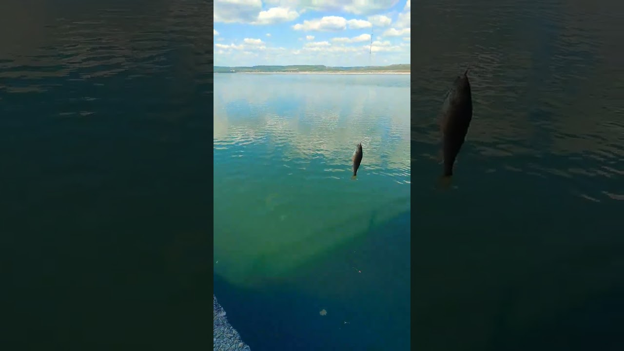 Biban la musca artificiala 6-09-2023