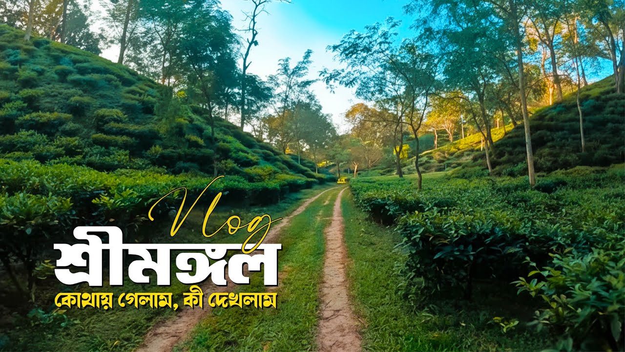 আমার শ্রীমঙ্গল ট্রাভেল স্টোরি—কোথায় গেলাম, কী দেখলাম | BD Vlogs Life