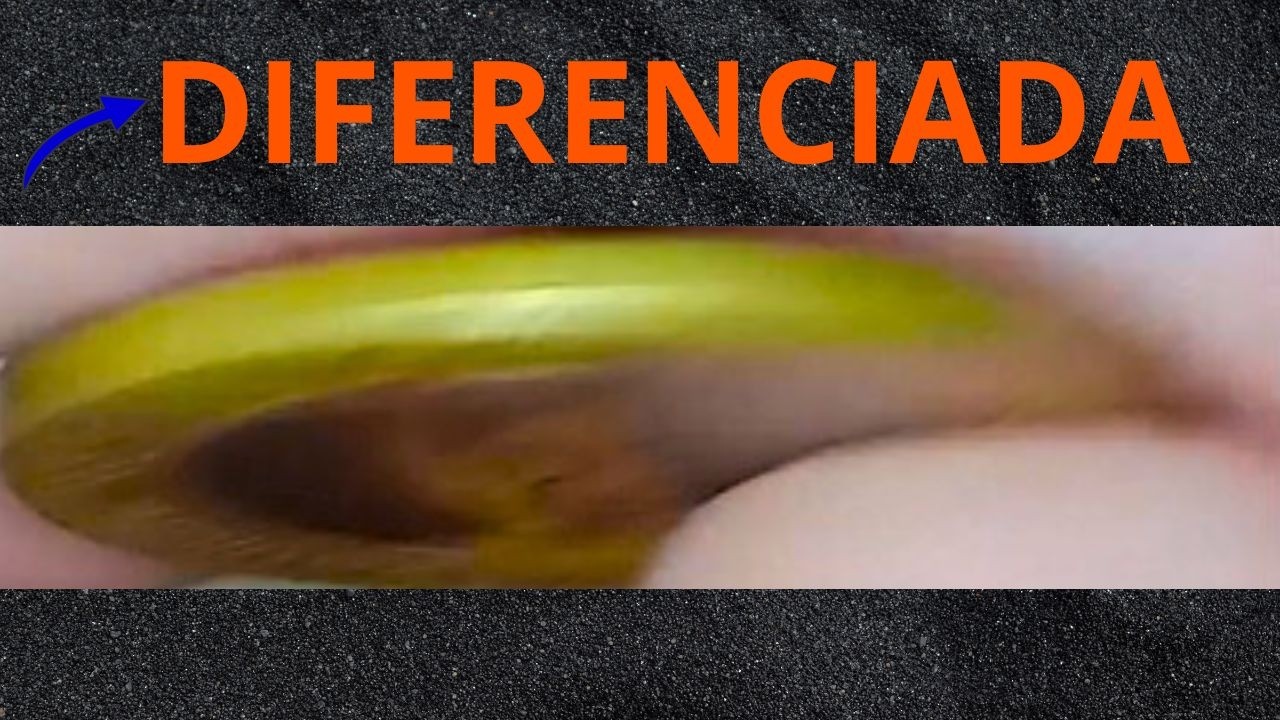 Moeda DIFERENCIADA vejam está moeda DIFERENCIADISSIMA...