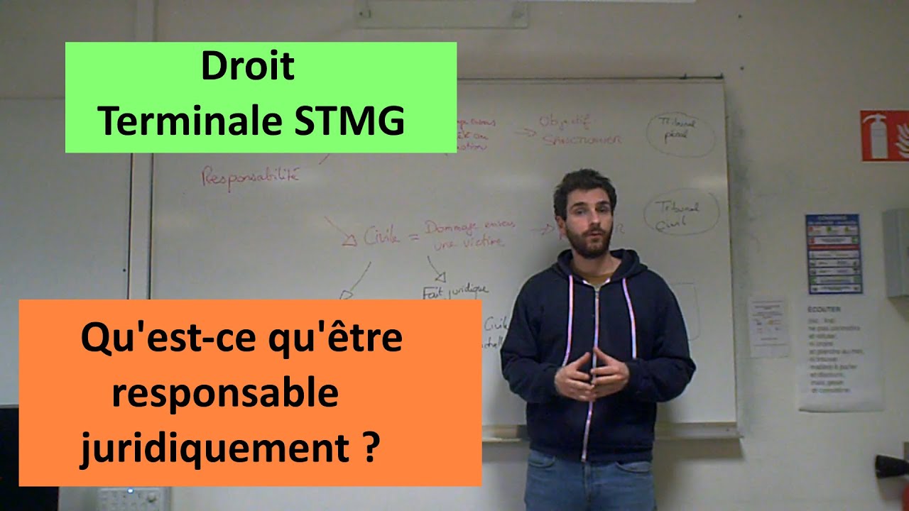 La responsabilit&eacute; en droit