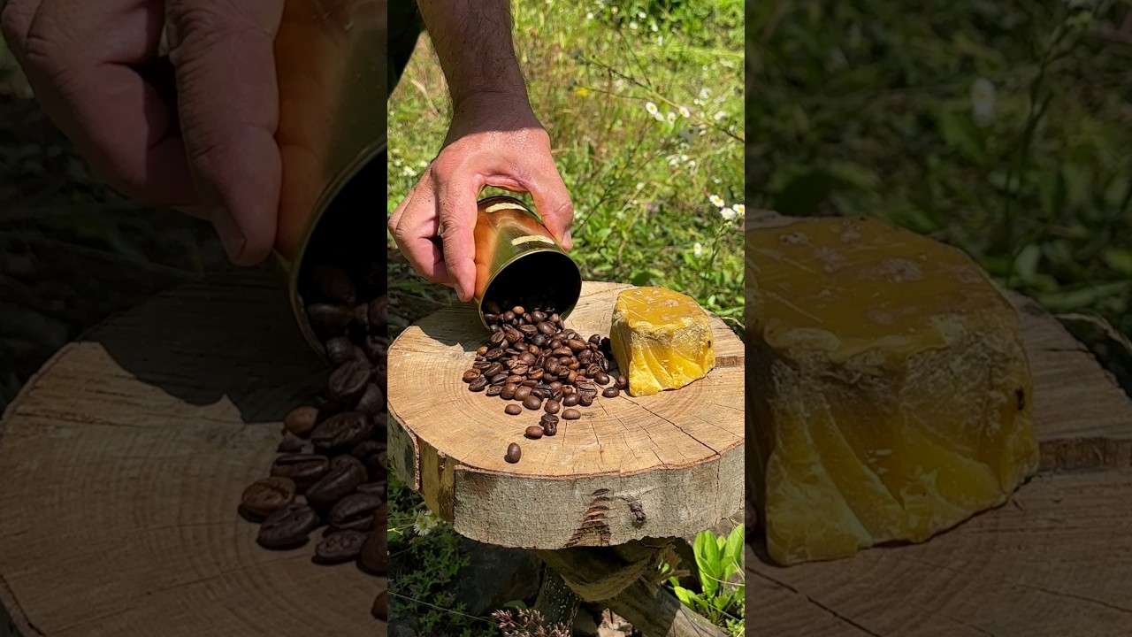 Survival Skills: Beeswax and Coffee - The Best Mosquito Repellent. #survival #camping #skills
