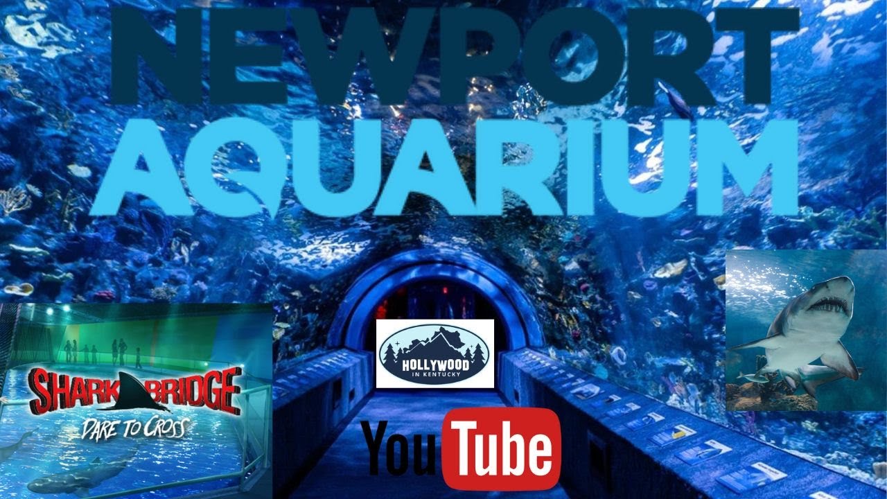Newport Aquarium in Newport, Kentucky