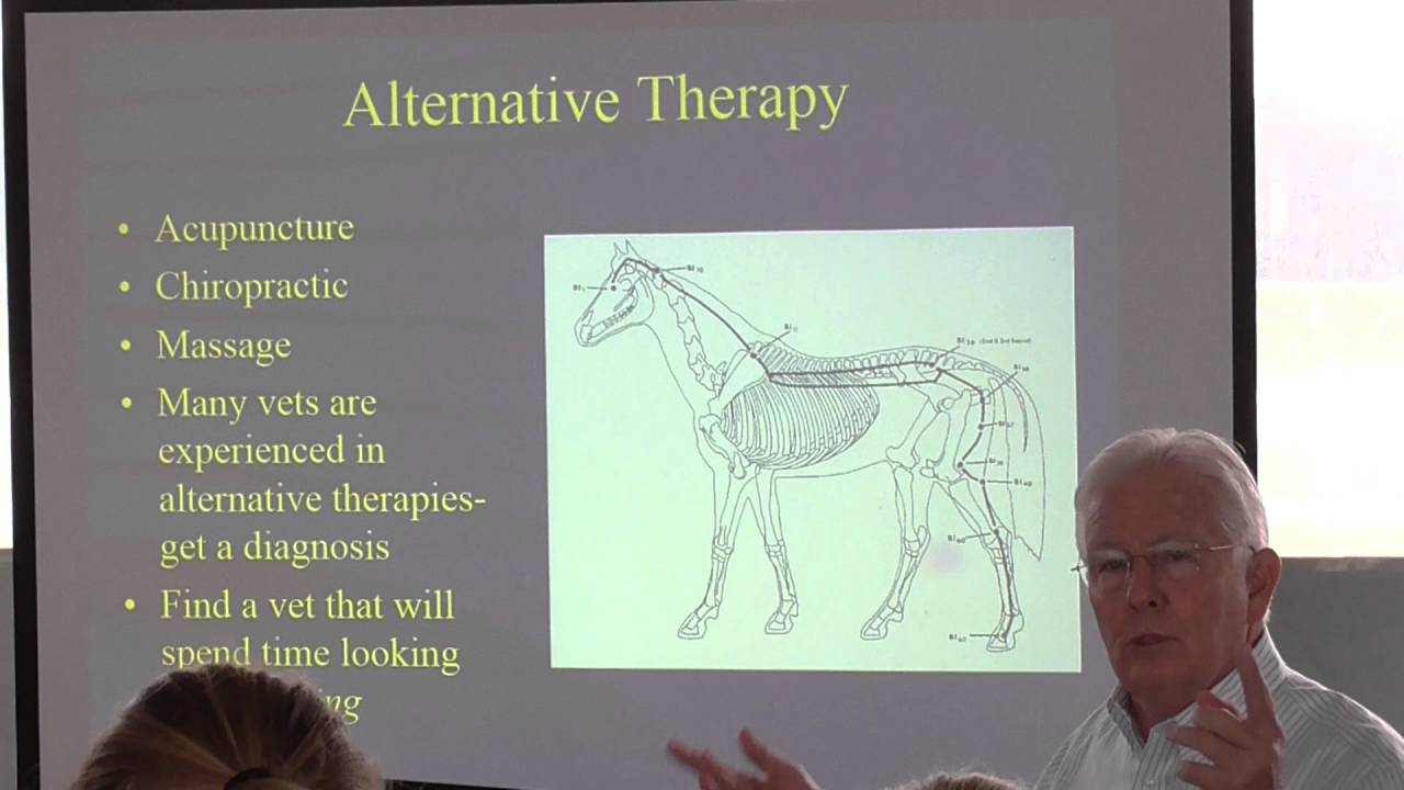 FEI and USEF Rules on Drugs and Therapies Before Competition