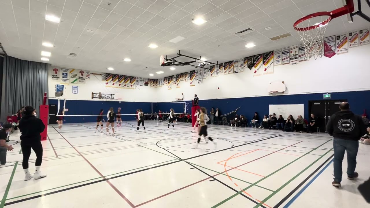 Phœnix Gold VS Dynamique_set2