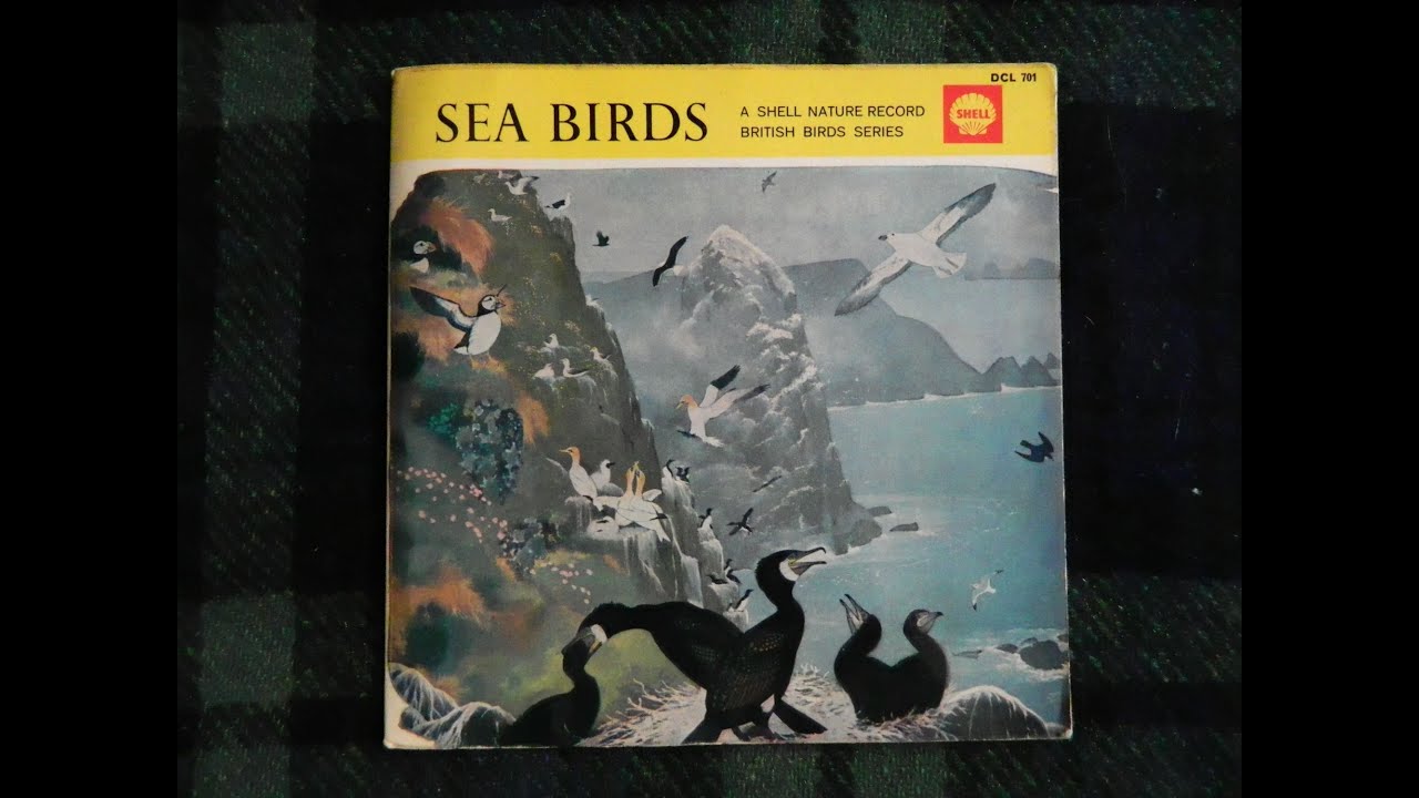 Sea Birds - 1967