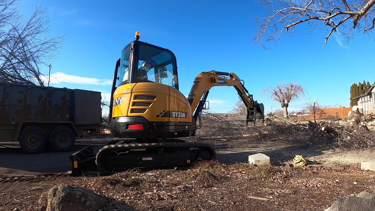 Ash Tree removal, loading with a Sany sy35u mini excavator