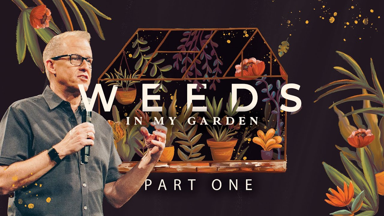 It's Okay to Not Be Okay | Weeds In My Garden