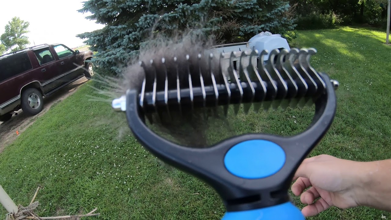 Pat Your Pet Dematting Rake#pets,#new,#animalcare,#fyp,#dogs,#cats,#health,#viral,#viralvideo,#love