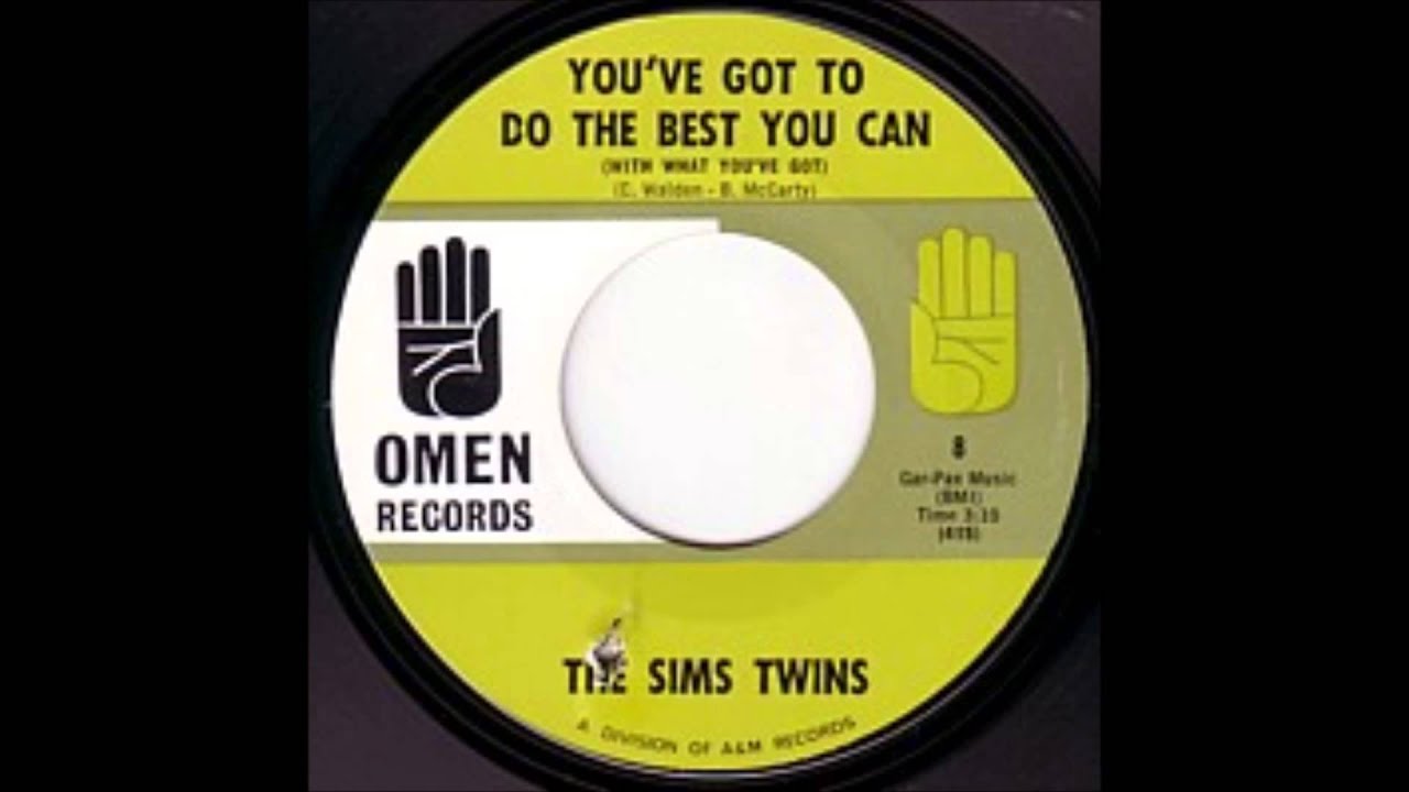 THE SIMS TWINS - You've got to do the best you can
