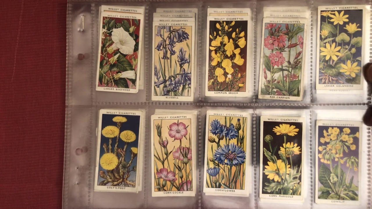 eBay Purchases, Cigarette Cards & Player Piano Rolls