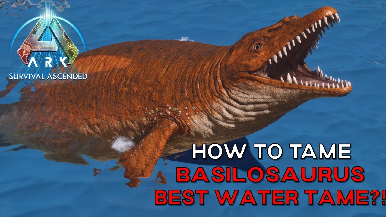 Ark Survival Ascended | How To Tame BASILOSAURUS And Why! - Best Water Tame