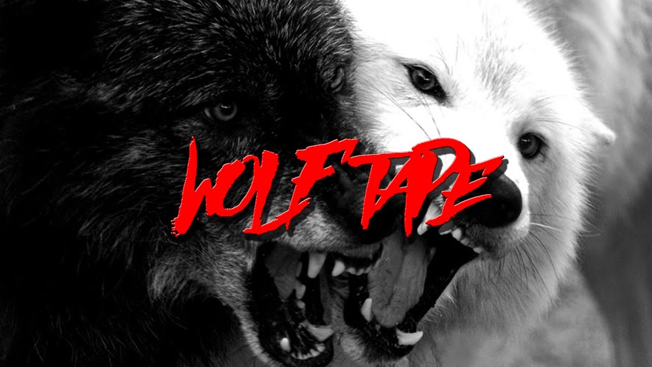 ΠΡΟΠΑΤΩΡ - WOLFTAPE