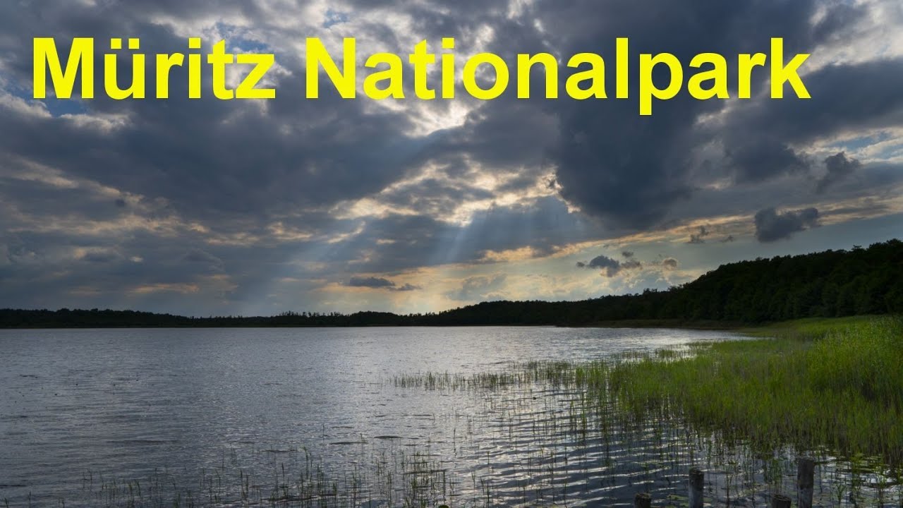 Müritz Nationalpark