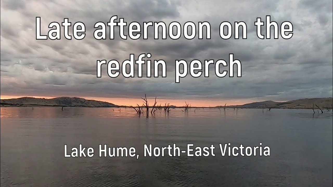Late afternoon on the redfin perch