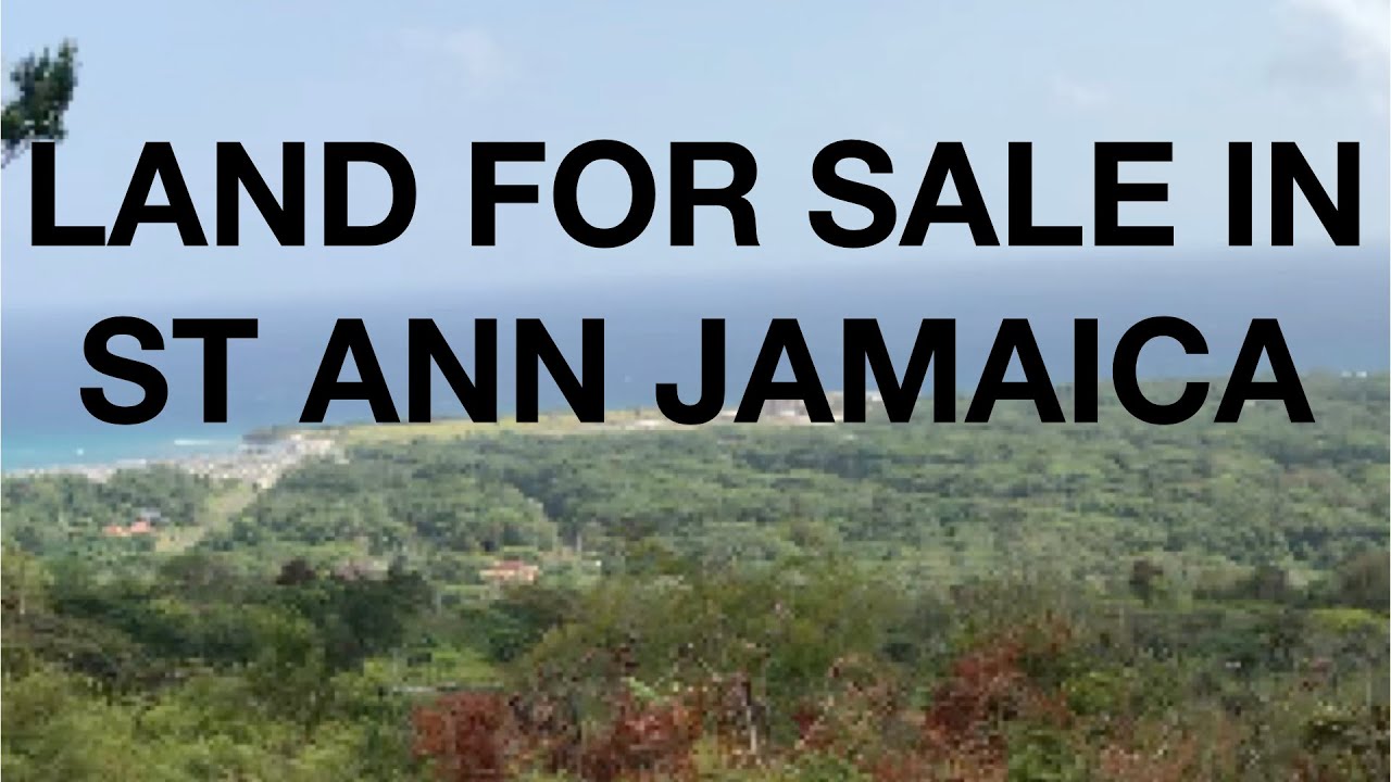 LAND FOR SALE IN ST ANN JAMAICA