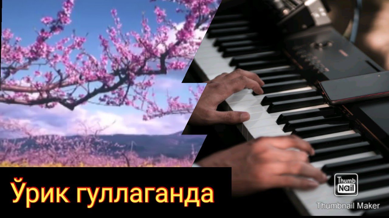 Ўрик гуллаганда. Song about orchard blossom 🌸🌸🌸