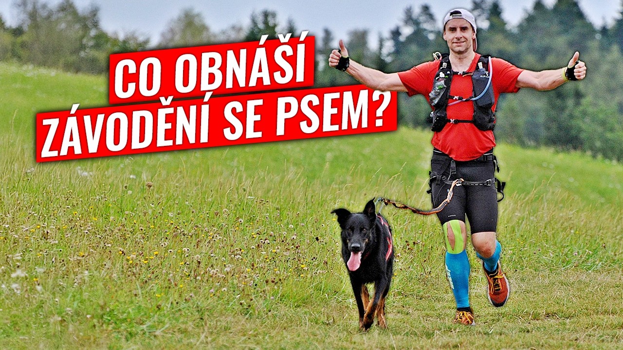 Co je to dogtrekking? | Se psem na trase Stopou Strejdy Šeráka (47,5 km / 1800 m)