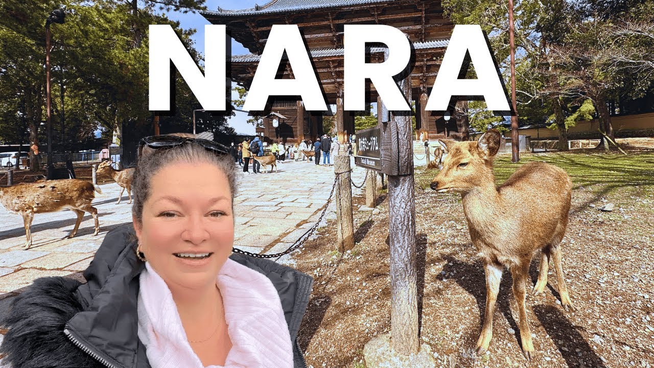 NARA, Japan Travel Guide: Sacred Deer, Temples, Sake Tasting & Sweet Treats!