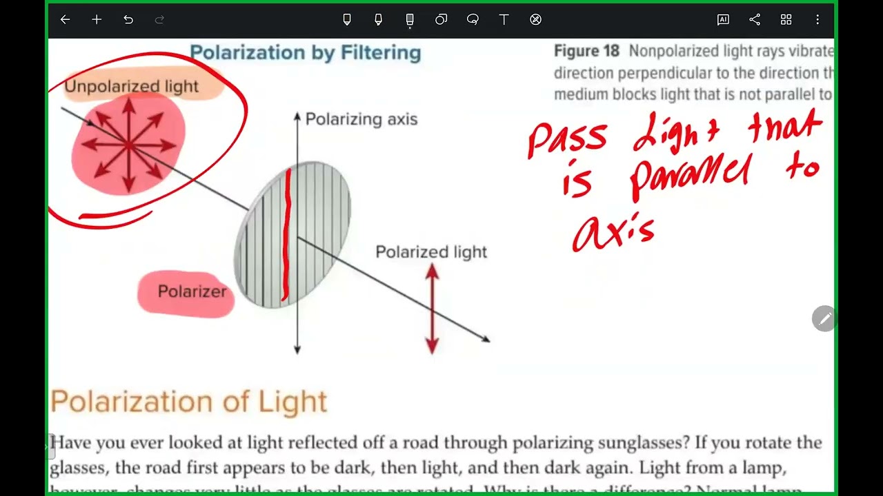Polarization of light by DR.AHMED SHERIFF  || 12,11 ADV || استقطاب الضوء