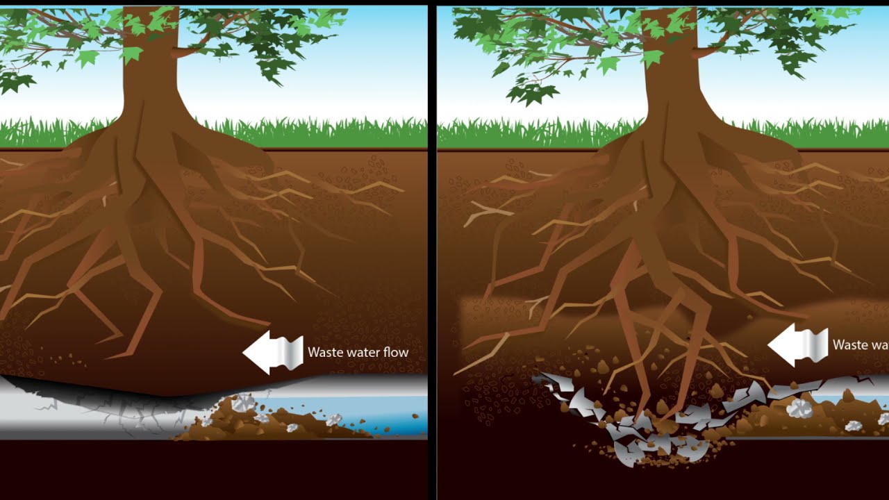 Trenchless Sewer Pipe Bursting Definition   Hoffmann Brothers
