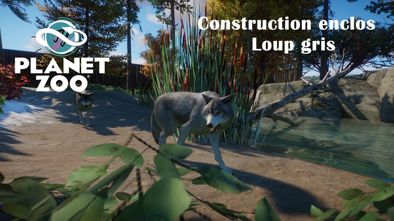 Planet Zoo: enclos Loup gris/Timber Wolf