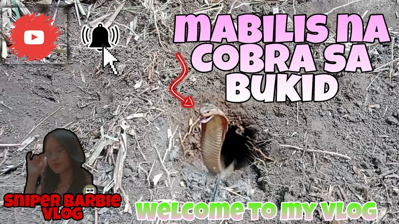 MABILIS NA COBRA SA BUKID HINDI NAKATAKAS KAY SNIPER! #SNIPERBARBIEVLOG #PrincessTuklaw #RODTUKLAW