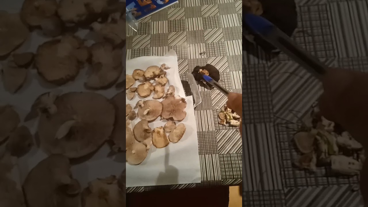 setas de cardo.