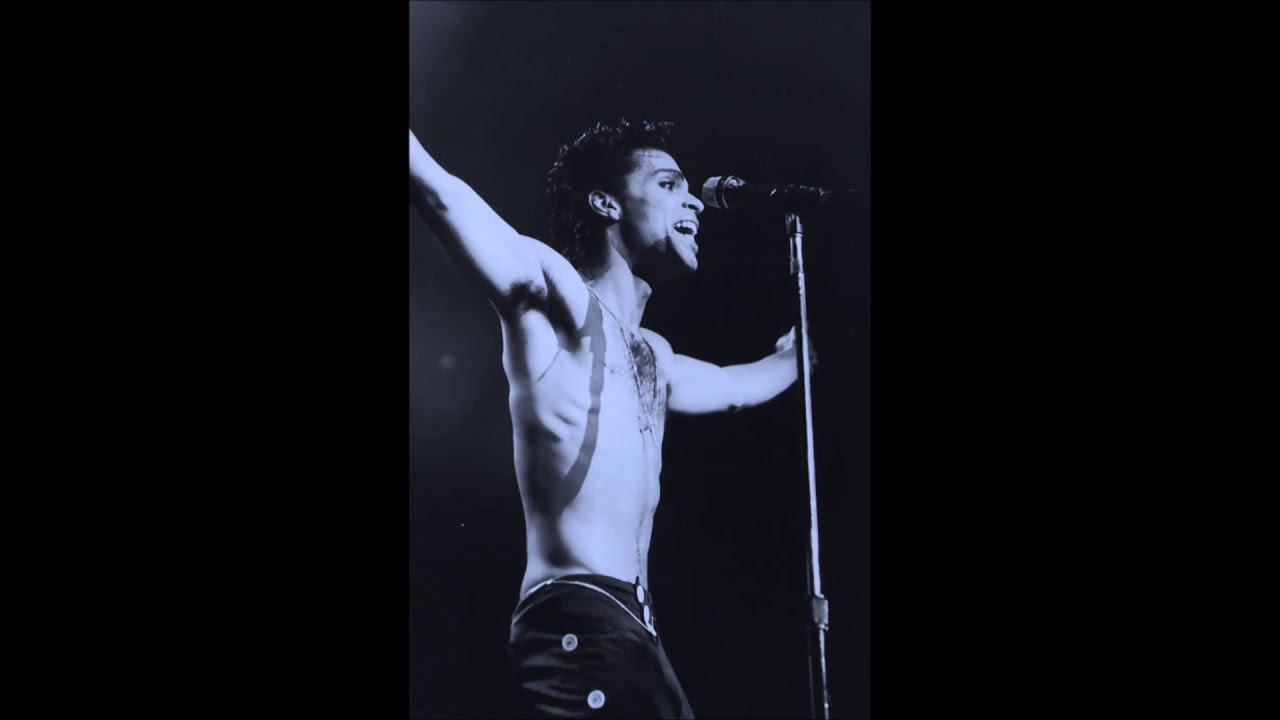 Prince - 