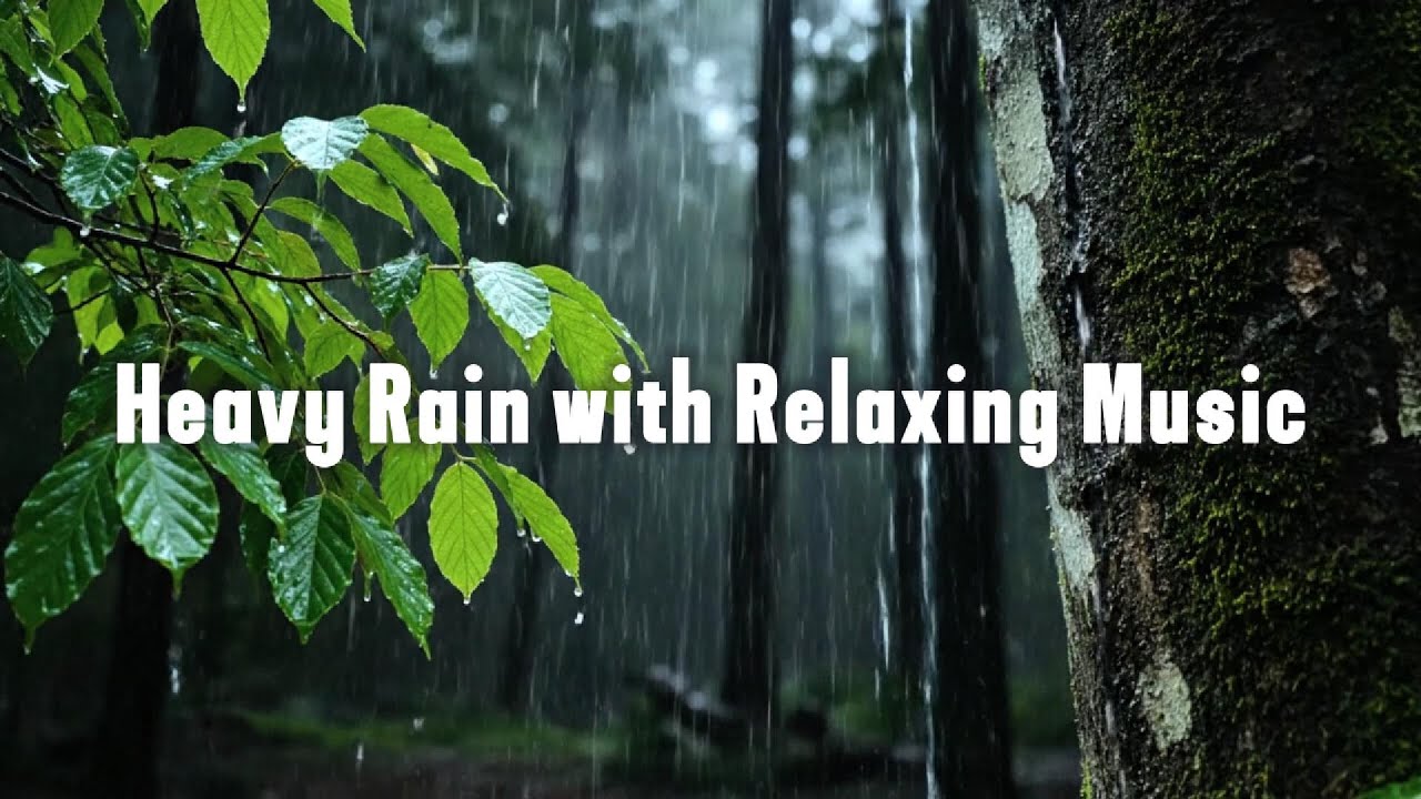 Heavy Rain with Relaxing Music for Deep Sleep, Stress Relief and Anxiety, Meditation, Calming