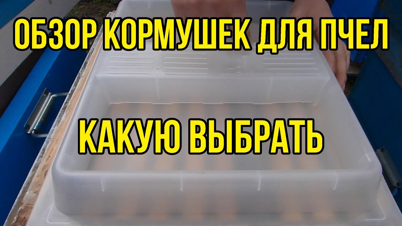 Какую кормушку выбрать? Обзор кормушек разной конструкции для пчел