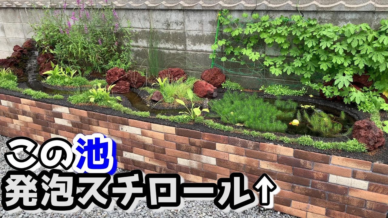 発泡スチロールで作った池に滝を作る～めだかのビオトープ～【ひとまず完成篇】