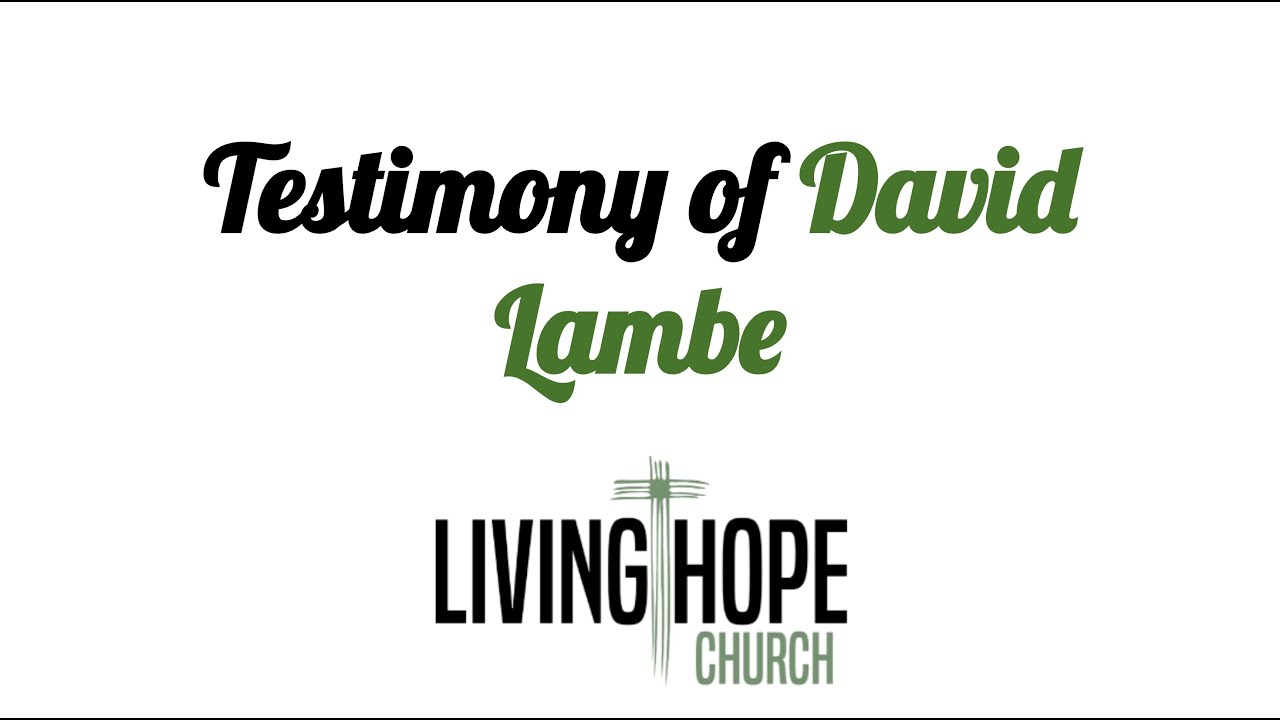 Testimony of David Lambe