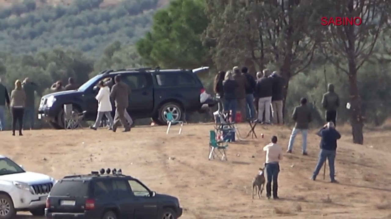 Dieciseisavos Provinciales de Andalucía 2025. 4 Colleras del Grupo 5. Domingo 2 de noviembre