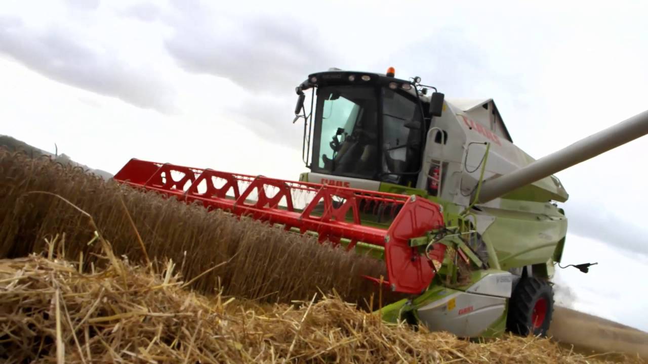 Claas tucano 470 au blé