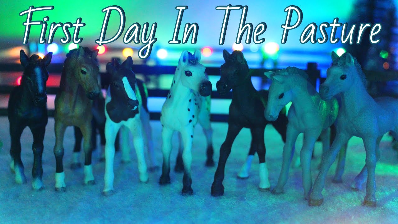First Day In The Pasture - Schleich Horse Short Film - |Phoenix Stables