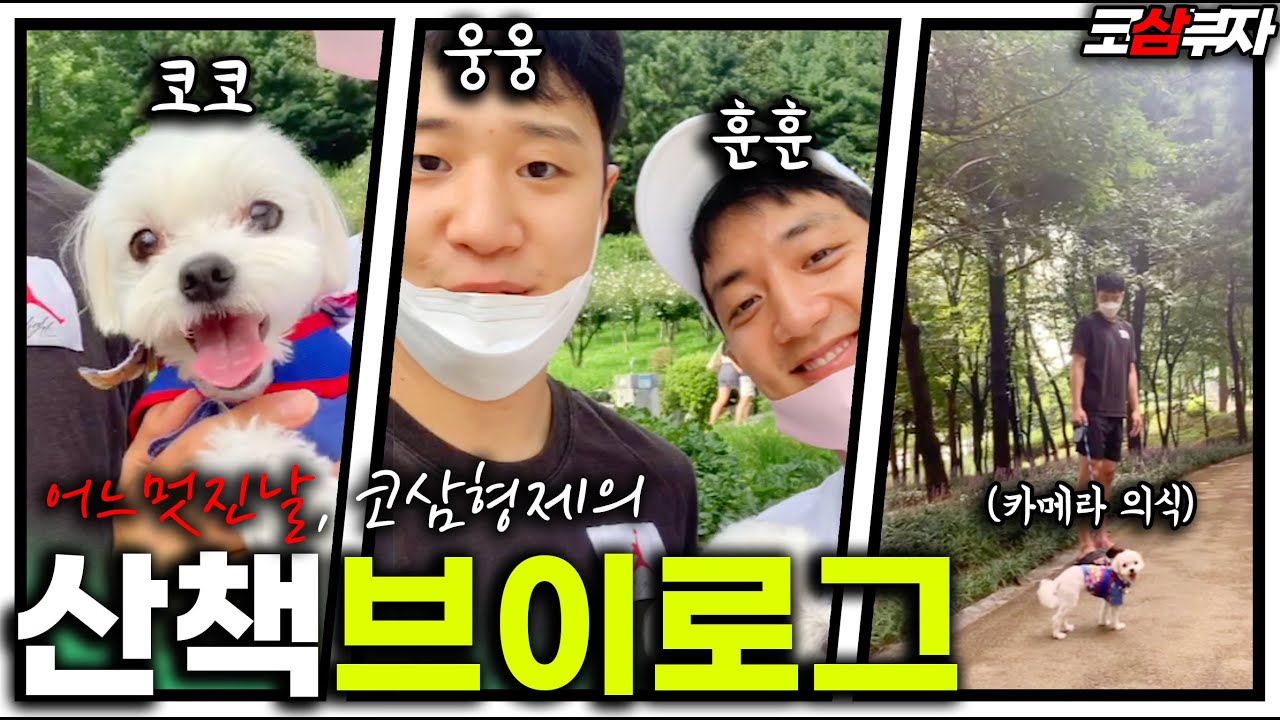 [ENG]코사부자ㅣ우리 가족 막내 코코와 함께 산책허재! 🏀허웅, 허훈 강아지 산책 VLOG
