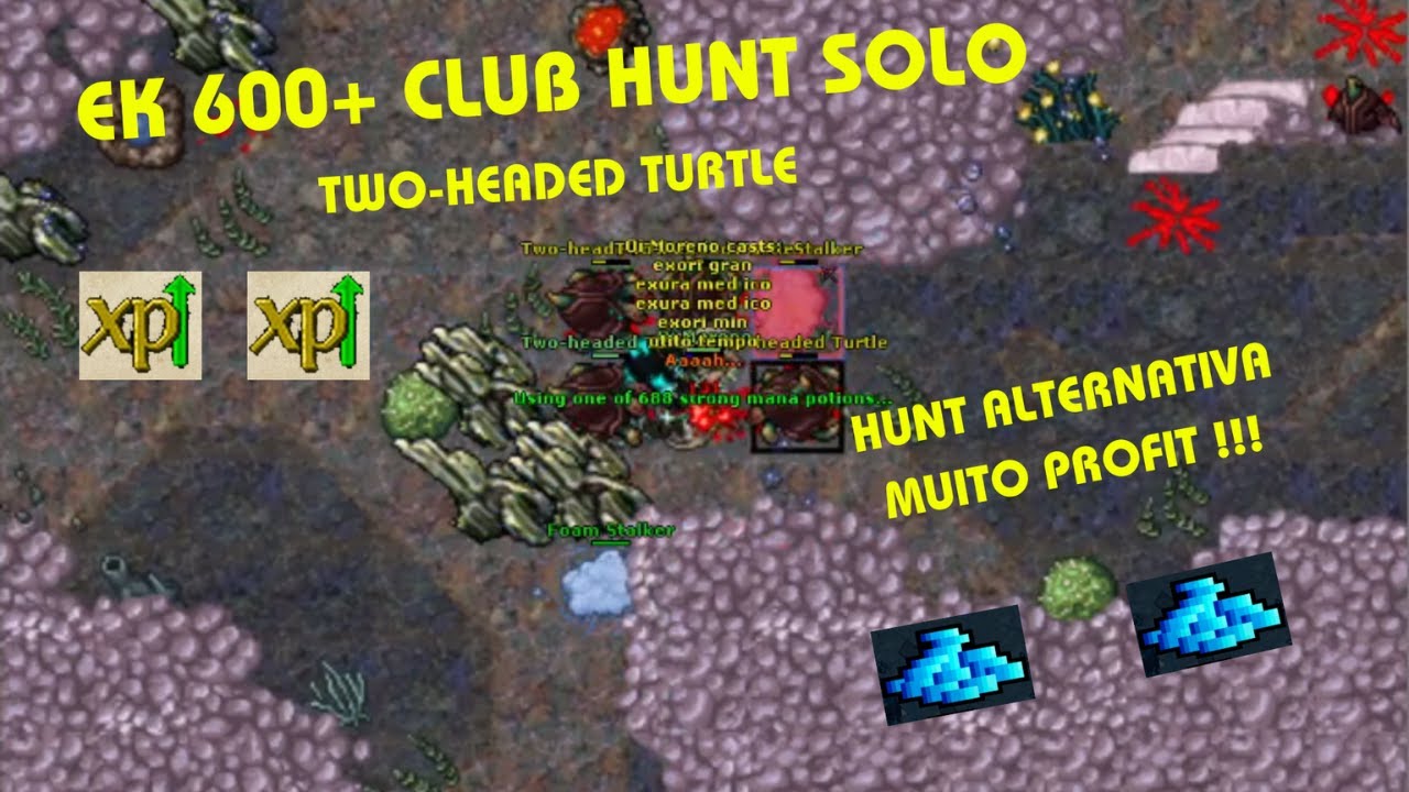 TIBIA - HUNT EK 600+ CLUB  SOLO -  TWO-HEADED TURTLE  FULL PROFIT !!!